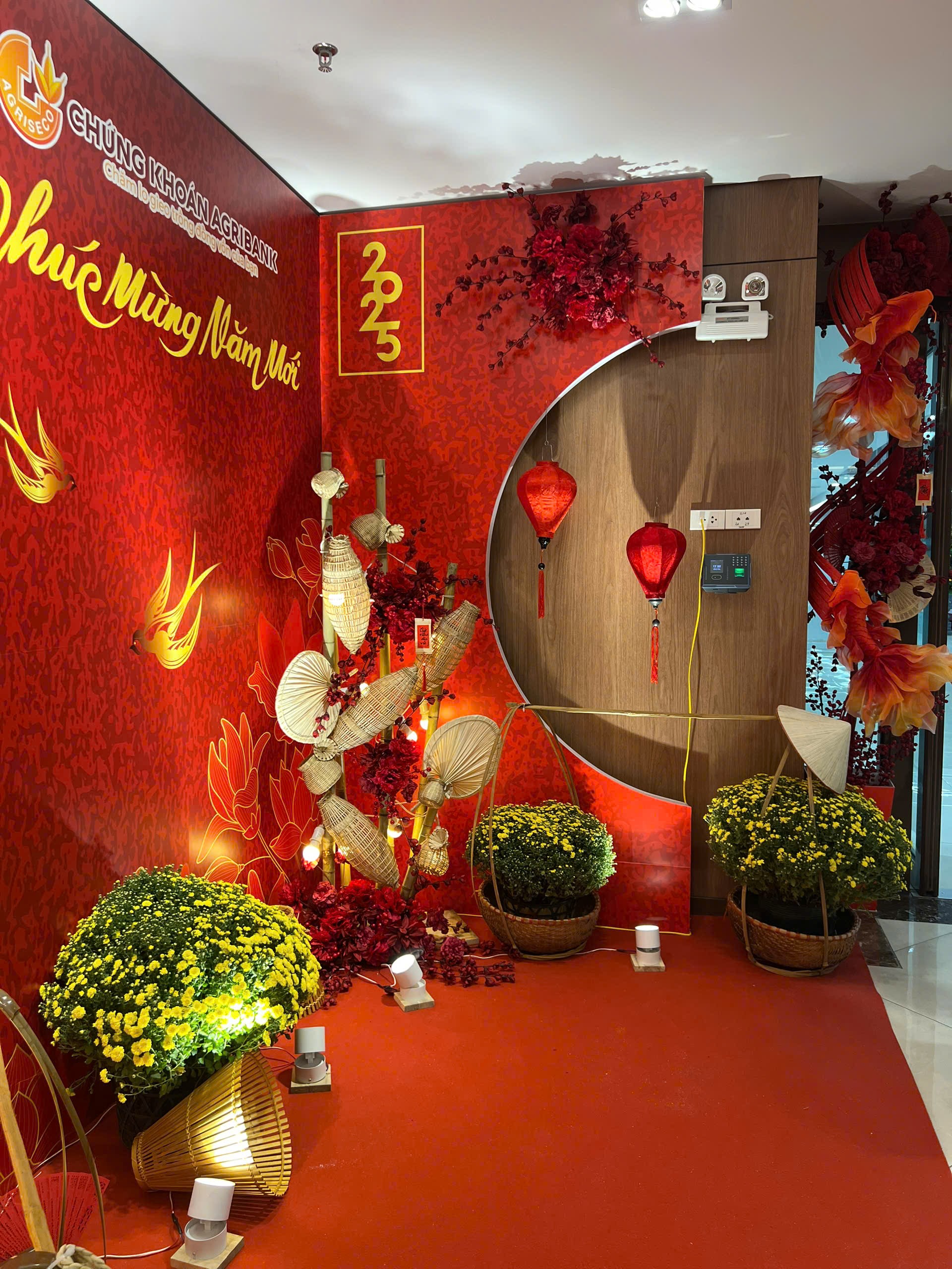 Trang trí Tết 2027 ở đường Trần Thái Tông, Hà Nội
